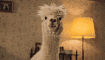 Quimmo GIF
