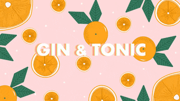 2O9 gin booze tonic oranges GIF
