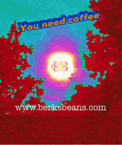 berksbeans berksbeans berksbeanscoffee GIF