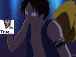One Piece Punch GIF