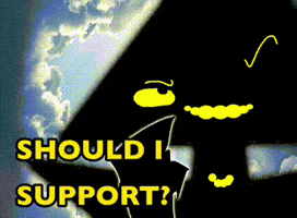 Support Should I GIF