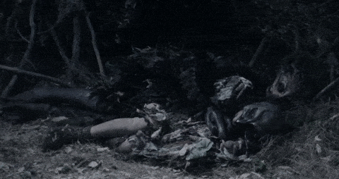 Halloween Bird GIF by Crypt TV