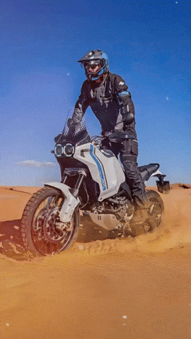 Racing Rabbit GIF