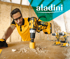 Aladini GIF