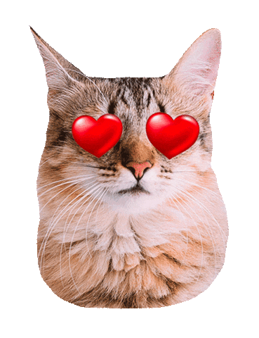 In Love Cat Sticker by Romeu, Malelo & Dalila