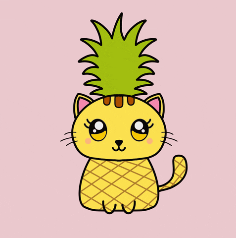 Tropical Fruit Cat GIF