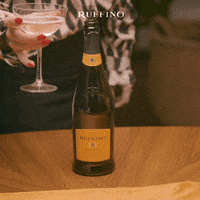 White Wine Reaction GIF by Ruffino Wines