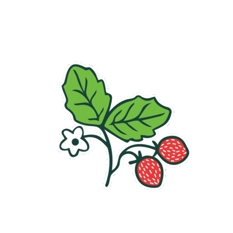 Acti-Sol Sticker