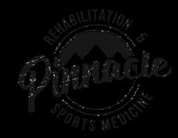 Paradiseplates physical therapy pinnacle GIF