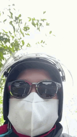 Fashion Sunglasses GIF