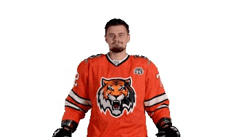 Hockey Tigers Sticker by HC Amur