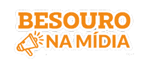 Instituto Besouro Sticker by voabesouro