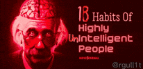 Einstein Habits GIF