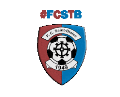 Soccer Logo Sticker by FC Saint-Blaise