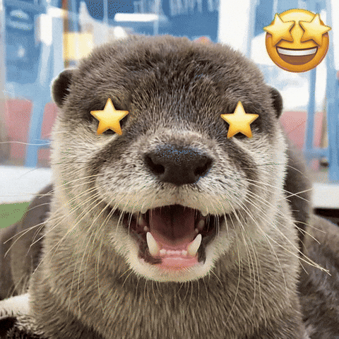 Otter GIF