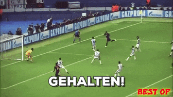 Euro2016 GIF by Twitter Sport DE