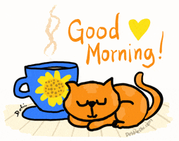 Good Morning Cat GIF by Debbie Ridpath Ohi