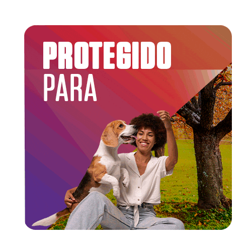 Bravecto Sticker by MSD Família Pet