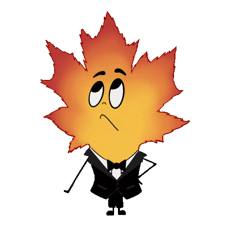 Fall Maple Sticker by GRAINANDBOWL