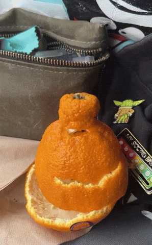 Orange GIF
