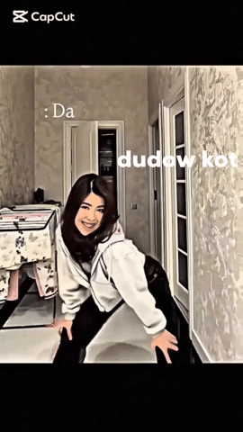 Dudow Kot GIF