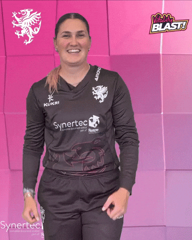 T20 Vitality Blast GIF by Somerset County Cricket Club