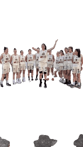 Basketball Team Sticker by Club Baloncesto Alcobendas