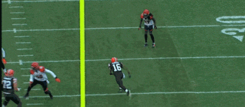 cincinnati bengals