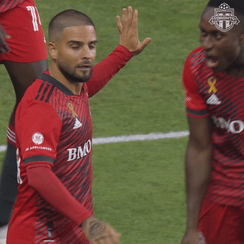 Happy Bmo Field GIF by Toronto FC