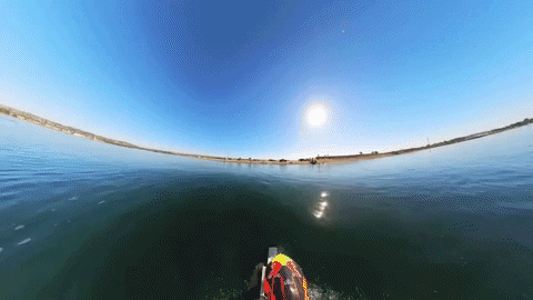 Animated GIF - Find & Share on GIPHY