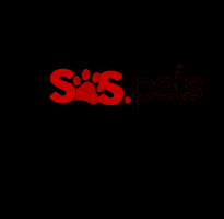 Plamev Pet GIF