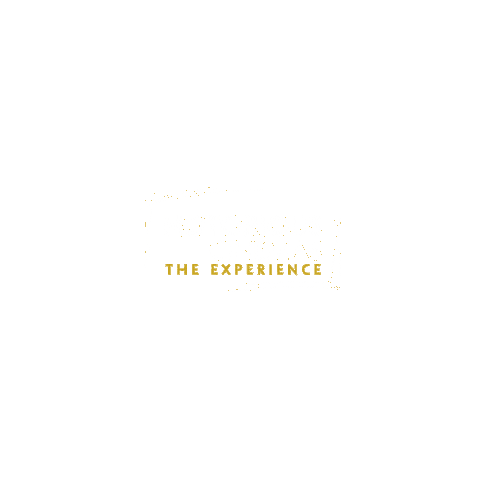Film Cinema Sticker by Notorious Cinemas