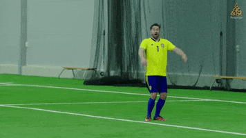 World Cup Football GIF by Betser