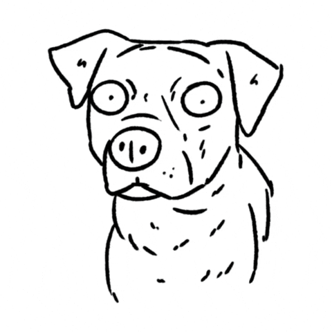 Dog Staring GIF by butpoorlydrawn
