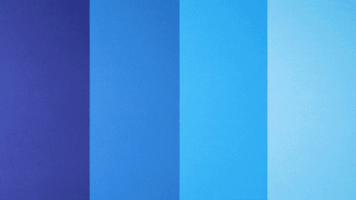 GIF by Studio Flox