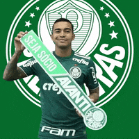 dudu avanti GIF by SE Palmeiras
