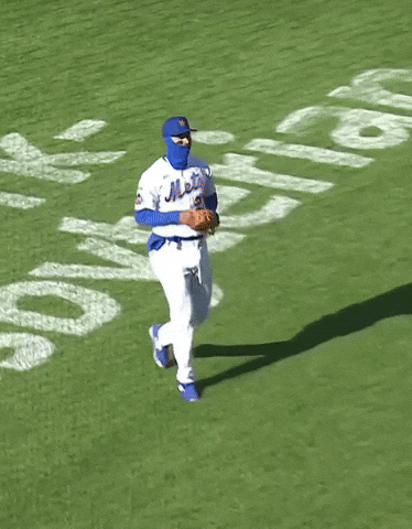 New York Mets GIF