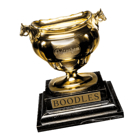 Races Cheltenham Sticker by Boodles