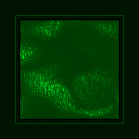 Art Relaxing GIF by xponentialdesign