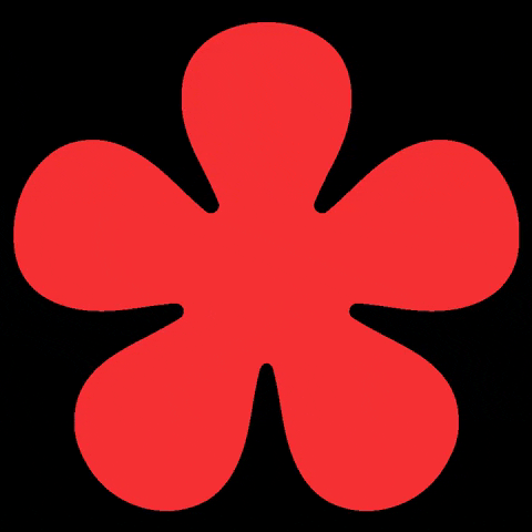 regardingherfood GIF