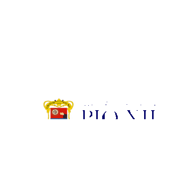 Colegio Pío XII Sticker
