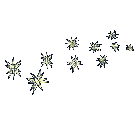 Stars Dazzling Sticker by Pittsburgh Botanic Garden