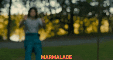 Stranger Things Fall GIF by Signature Entertainment
