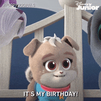Excited Happy Birthday GIF by DisneyJunior