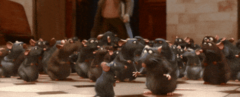 Rats Ratatouille GIF by Disney Pixar