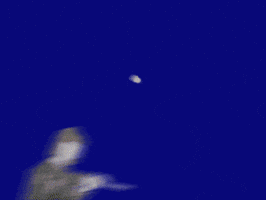 marcoteves GIF