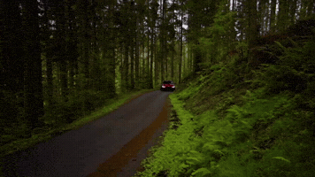 Bmw M4 GIF