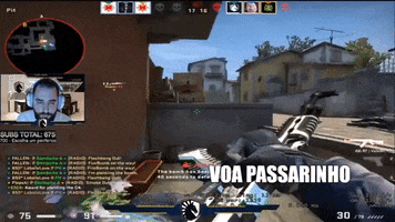 Csgo GIF