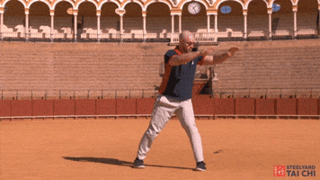 Steelyard Tai Chi GIF