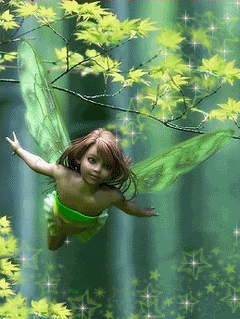 fairy